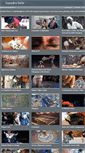 Mobile Screenshot of leandrosoto.com